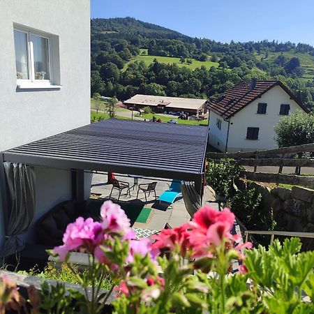 Gite Luxury A Soultzeren Zewnętrze zdjęcie