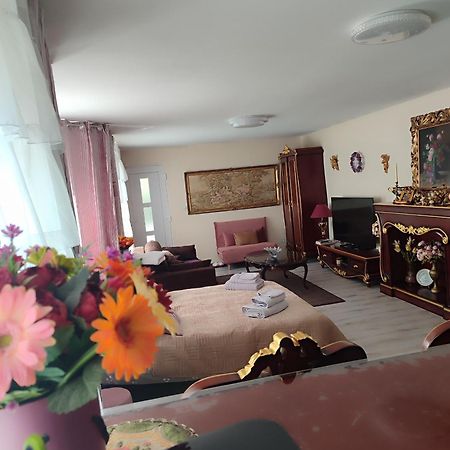 Gite Luxury A Soultzeren Zewnętrze zdjęcie