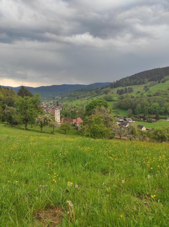 Gite Luxury A Soultzeren Zewnętrze zdjęcie