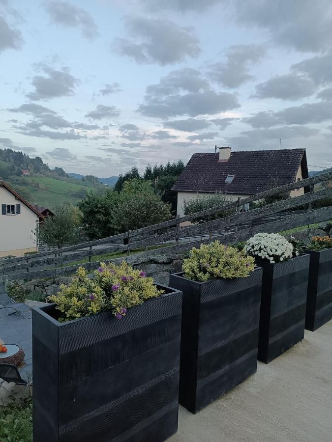 Gite Luxury A Soultzeren Zewnętrze zdjęcie